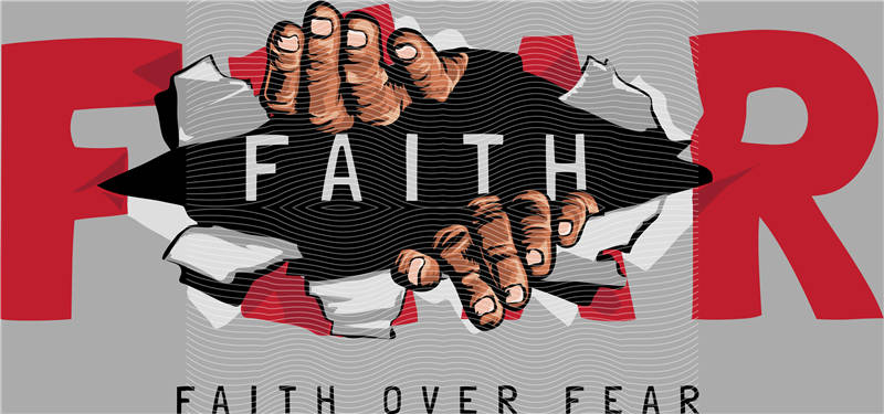 latest edition-KNY 490